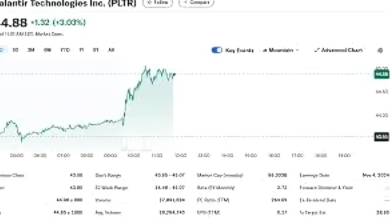 PLTR Stock