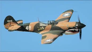 Curtis P40