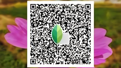 Snapseed QR Code